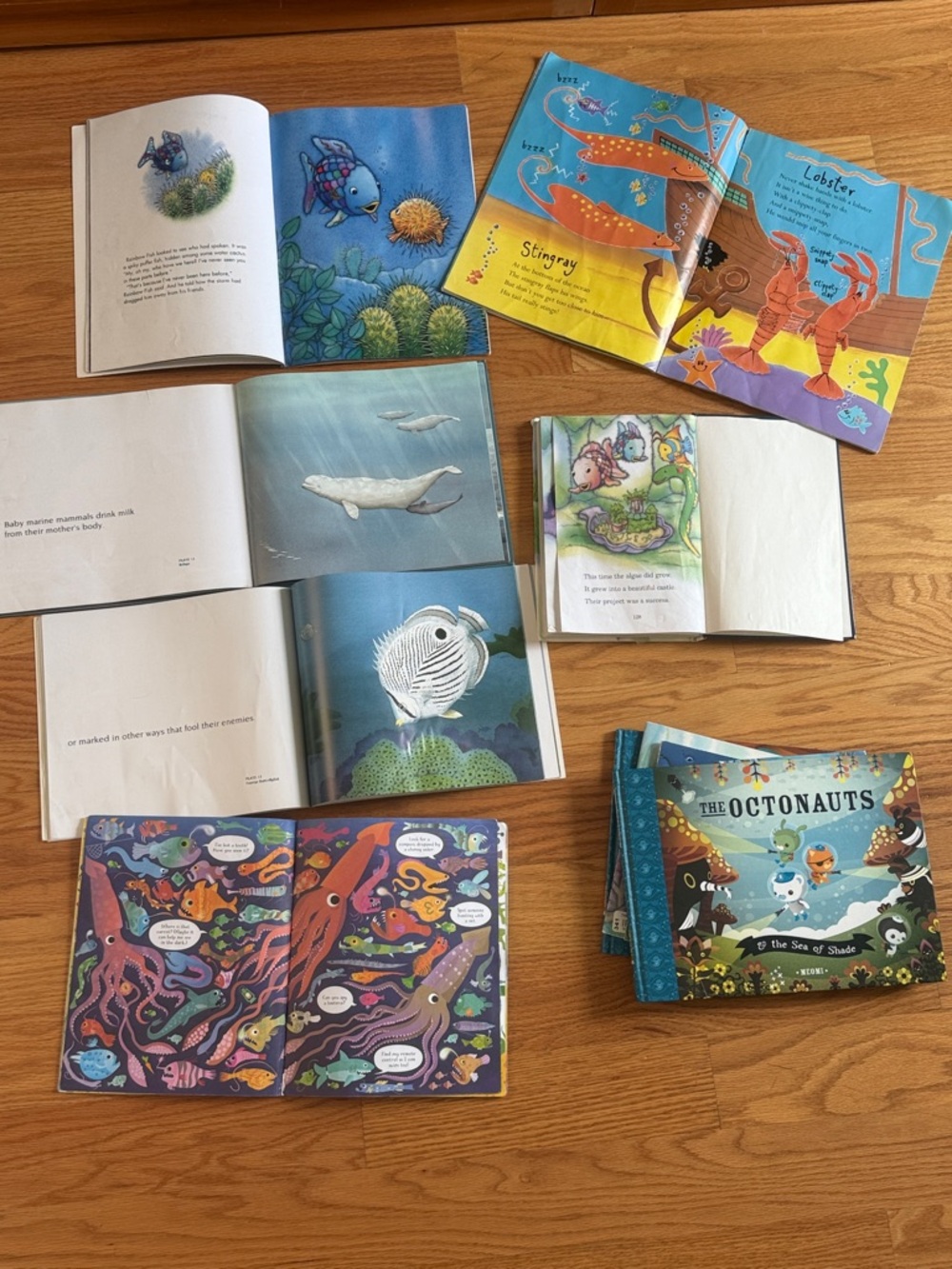 Lot of 13 Under the sea books - fish, mammals, Octonauts - Picture 4 of 7